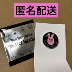 Stray Kids 展覧会 ランダムピンバッジ チャンビン トゥエッキ - メルカリ