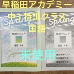 早稲田アカデミー 中3 特訓クラス 国語 SKクラス 塾 教材 テキスト