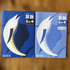 四谷大塚 予習シリーズ 算数 6年下/有名校対策 - メルカリ