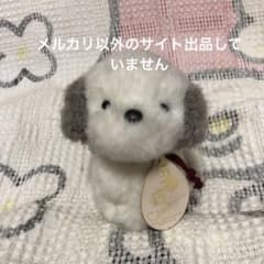 m77189842236_1.jpg?1770124186