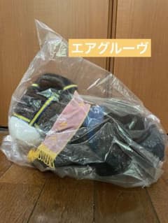 第57回 オークス エアグルーヴ ぬいぐるみ（旧バージョン） - メルカリ