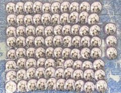 最終価格】初兎 しょう アニメイトコラボ等身 缶バッジ 缶バッチ 83点