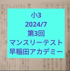 3年生 2024年 第3回 マンスリーテスト 早稲田アカデミー - メルカリ