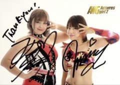 女子プロレス マリーゴールド ビキニスタイル 水着写真集2025 B | Shop