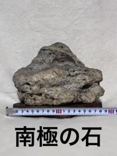 南極の石（約60年前のもの） - メルカリ