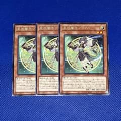 m70802262942_1.jpg?1755175438