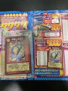 激レア抽選 ドラゴンボールカード 神龍と孫悟空 SP-19 未使用 値下げ