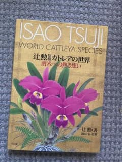 原種 カトレアの世界WORLD CATTLEYA SPECIES - メルカリ
