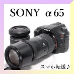 ✨SONY α65✨ダブルレンズ✨初心者おすすめ✨高速連射✨超高画質✨一眼