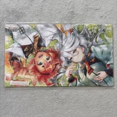 m84858027435_1.jpg?1760228425