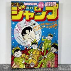 m86593221709_1.jpg?1715616883