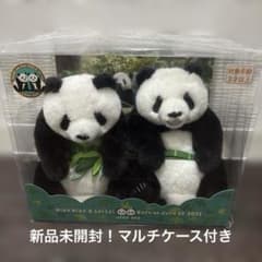 m87800875634_1.jpg?1766272756