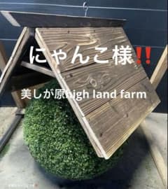 杉玉 約40センチ ‼️縁起物 丸くて幸せ 家族円満 商売繁盛♪ - メルカリ