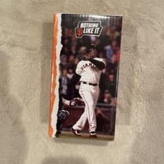 m89983956621_1.jpg?1758706068