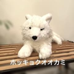 ホッキョクオオカミ ぬいぐるみ 那須どうぶつ王国 Sサイズ - メルカリ