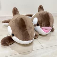 須磨シーワールド シャチ オルカくじ 新色 ショコラデュオカラー 3等 2