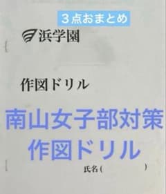南山女子部対策 作図ドリル - メルカリ