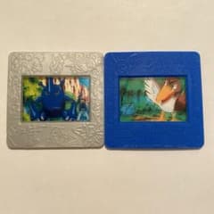 ポケモン ピクチャーフレーム 明治 希少 カモネギ ヘラクロス