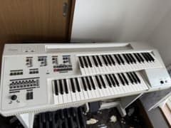 m82816873441_1.jpg?1743903930