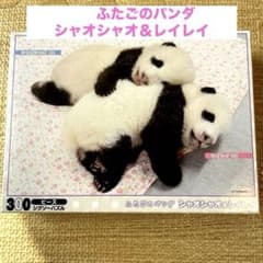シャオシャオ＆レイレイ ジグソーパズル - メルカリ