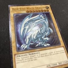 m83088775515_1.jpg?1751607157