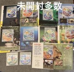 m83162558924_1.jpg?1730300423