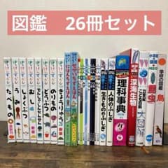 図鑑 26冊 セット はっけんずかん でんしゃ しんかんせん のりもの