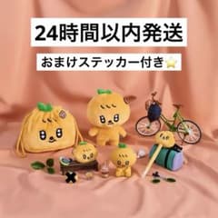 seventeen ミニティーン プギュリ スングァン セット 2025 - メルカリ