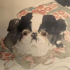円山四条派 山元春挙 春挙 狆の図 犬絵 犬の絵 掛軸 日本画 - メルカリ