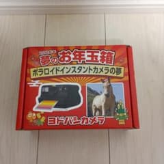 ヨドバシ) お年玉箱 ポラロイドカメラの夢 - メルカリ