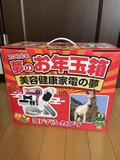 夢のお年玉箱 2026年 美容健康家電 - メルカリ