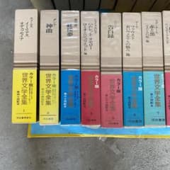 m92336813821_1.jpg?1717734270