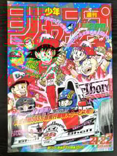 m92613658602_1.jpg?1721784460