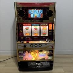 スロット実機 4号機 トゥームレイダー レアパネル ララ - メルカリ