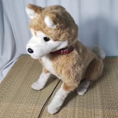 m92961528730_1.jpg?1760755253