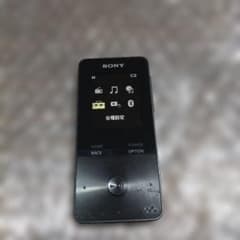 ソニーウォークマン NW−S313 管理ナンバー1262 - メルカリ