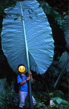 m93285530677_1.jpg?1771802994