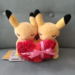 2026年最新】ポケモンセンター マンスリーペアピカチュウの人気