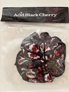 2026年最新】acidblackcherry yasuの人気アイテム - メルカリ