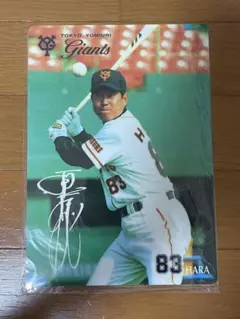 2026年最新】原辰徳 下敷きの人気アイテム - メルカリ