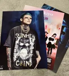 2026年最新】Dir en grey 京の人気アイテム - メルカリ