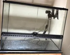 2026年最新】グラステラリウム 6045の人気アイテム - メルカリ