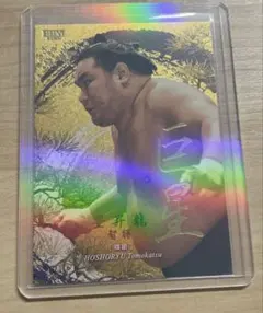 2026年最新】豊昇龍 サインの人気アイテム - メルカリ