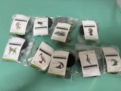 2026年最新】海洋堂 国立科学博物館の人気アイテム - メルカリ