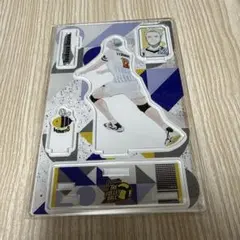 2026年最新】飯綱掌 vリーグの人気アイテム - メルカリ