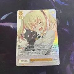 2026年最新】1000年ぶりの再会 パトリシア＆ノラ SSPの人気アイテム