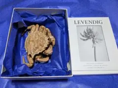 サカダチコノハナナフシ9匹セット＋ ギガンティアナナフシ一匹 標本箱