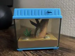 2026年最新】虫かごギャラリーの人気アイテム - メルカリ