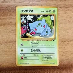 2026年最新】イントロ フシギダネの人気アイテム - メルカリ