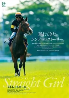 2026年最新】ポスター ヒーロー列伝 b1の人気アイテム - メルカリ